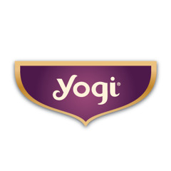 The Yogi Tea Story