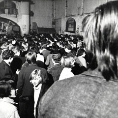 The Wailers - Out Of Our Tree