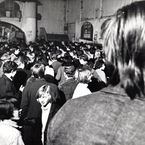 The Wailers - Out Of Our Tree