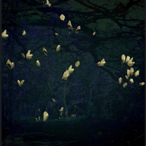 Indii Wild Moon - (Dont Leave Me This Way) Coma