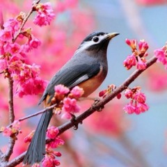 Unforgettable - G On Vocals