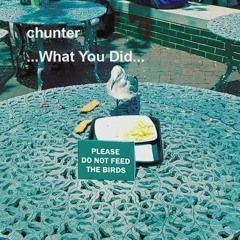 What You Did 【AVANNA】