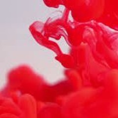 gLION - on the prowl