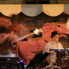 Return Of The Pink Elephants