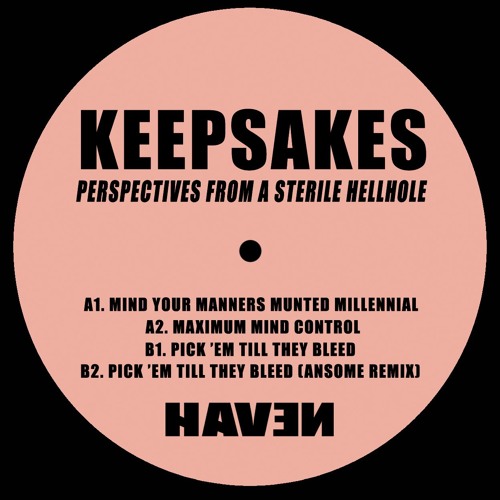 Keepsakes // Perspectives From A Sterile Hellhole [HVN001]
