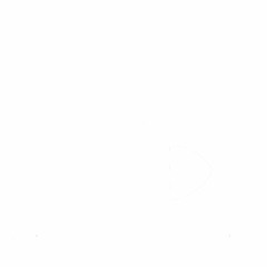 18 흰수염고래