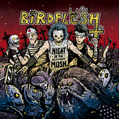 Birdflesh - Coffinfucker