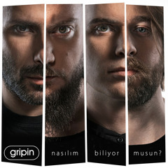 Gripin-Sor Bana Sor
