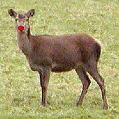 RUDOLPH THE BASSFACE REINDEER