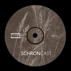 SCHRONCAST #4 - Mistic