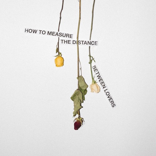 The Last Song I Ever Wrote U