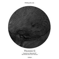 PREMIERE: Thommie G - Pocahandtas [Wildfang Records]