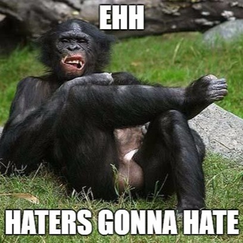 Ziqooh - For the haters