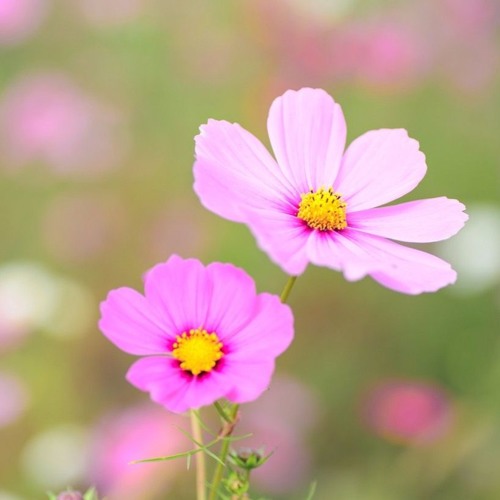 Hasi Ban Gaye | Movie: Hamari Adhoori Kahaani