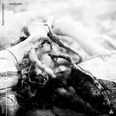 IsoQuant - Risen From Ashes LP (Preview Mix) - DMT416