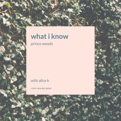 Josh McDaniel (AKA prince woods) what i know (feat. ALICE K)
