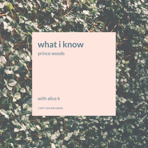 Josh McDaniel (AKA prince woods) what i know (feat. ALICE K)