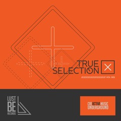 True Selection Vol. 1 (OUT NOW)