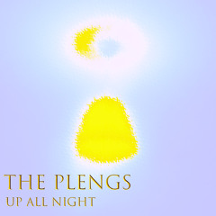 Up All Night | The Plengs | Country Rock