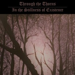 Through The Thorns - In The Stillness Of Existence (excerpts)