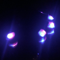 Nicolas Jaar - Wouh (Vinyl Record Version)