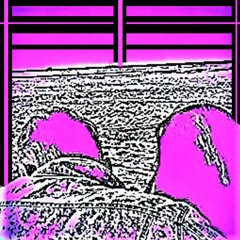 Warning Feat La Goutte de Mer