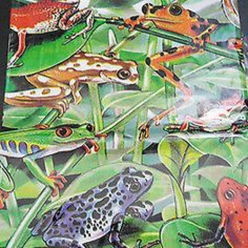 Meskalin - Dendrobatidae (Bufo Alvarius Remix)