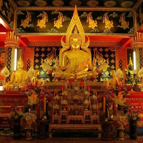 Meskalin -Shaolin Monk