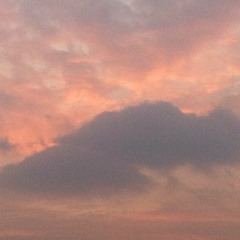 SHYQA - Bleeding (mapalma remix)free dl