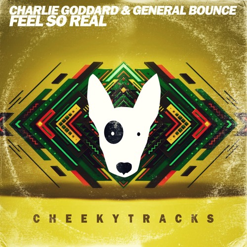 Charlie Goddard & General Bounce - Feel So Real - FREE DOWNLOAD