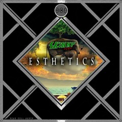 Skinny Flat - Esthetics (Dead Cell Audio Exclusive)
