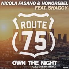 Nicola Fasano & Honorebel Feat Shaggy - Own The Night (Alex Guesta Preview)