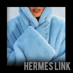 hermesLINK