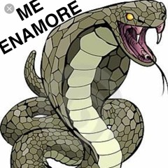 NDSTIME - Me Enamore