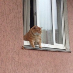 existentialism