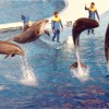 Dolphin Kentai x Bermuda Finlay - "What My Name Is" (real mix)