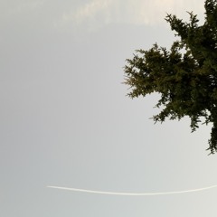 Celebration of Life (sample/work in progress)