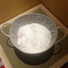 winter is a cold season