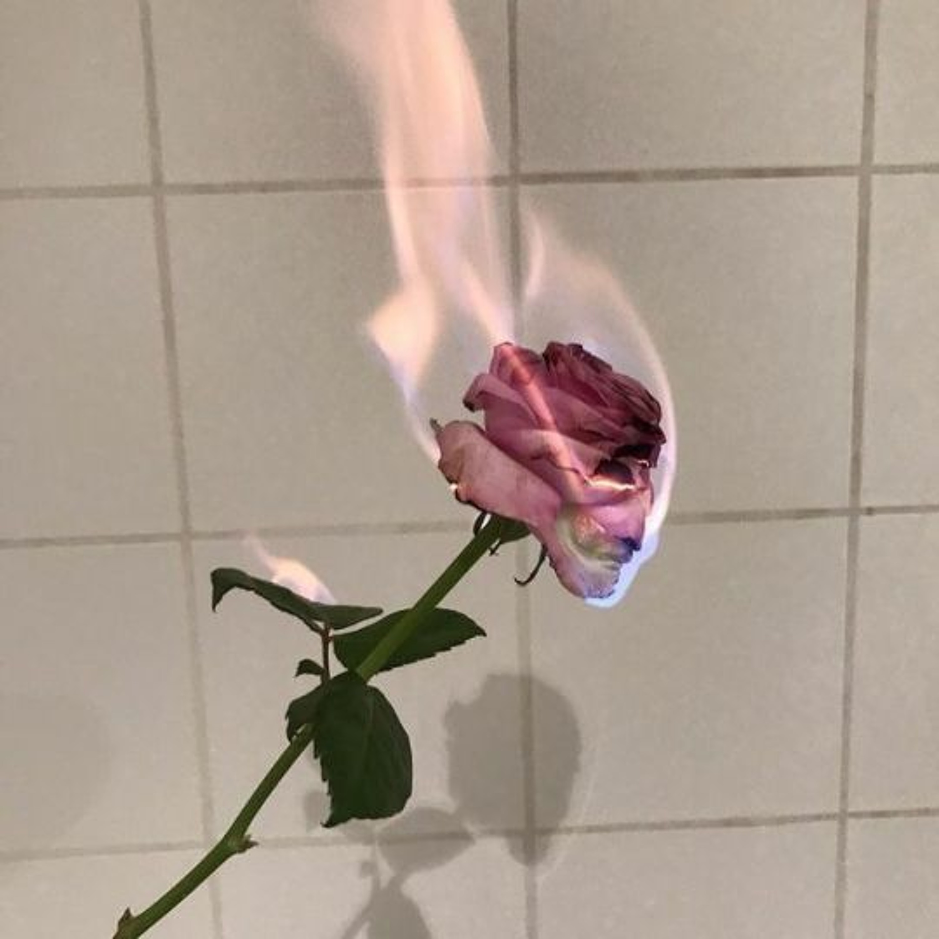ThereIsNoLove episode artwork