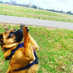 Riquita Played By Adrian Hubble