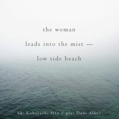 Haiku #207: the woman / leads into the mist — low tide beach