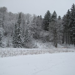 Santa Clause is coming to town