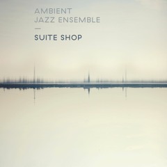 Ambient Jazz Ensemble - Never In Doubt