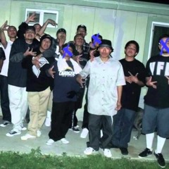 vFLSx3 HOOD SNGS