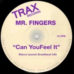 Tribute To Mr Fingers [Free Download]