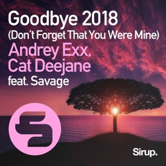 Andrey Exx & Cat Deejane feat. Savage - Goodbye (Don't Forget That You Were Mine) 2018