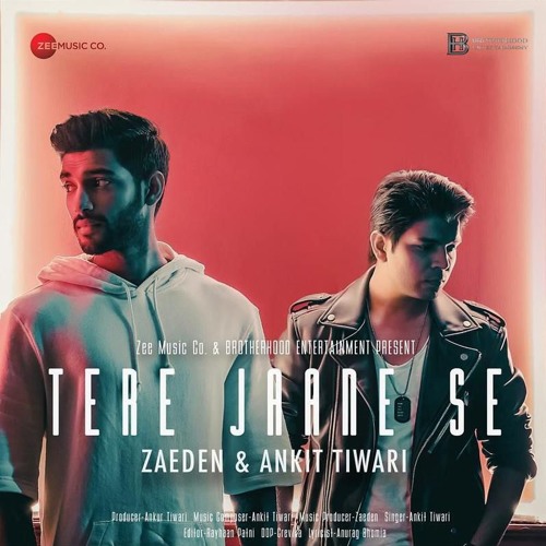 Zaeden & Ankit Tiwari - Tere Jaane Se (H V M A N O N M A R S Remix)