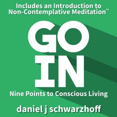 Pre-Talk to Non-Contemplative Meditation™