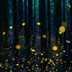 Can U Hear Me? (I Send a Signal) (Recorded Live in Ojai, CA)