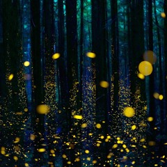 Instrumental track to lift the soul (Recorded Live in Ojai, CA) Feat. Brian and Isha